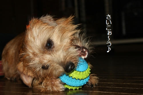 IMG_8885.JPG