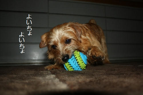 IMG_8896.JPG