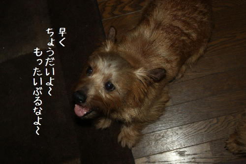 IMG_9567.JPG