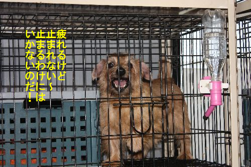 IMG_1887.png