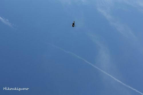 IMG_8844.JPG