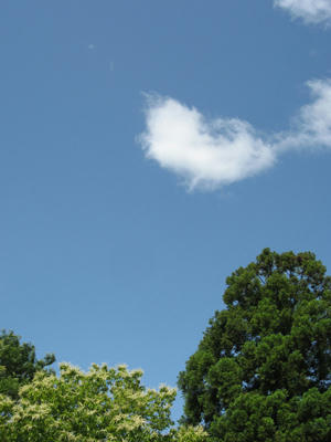 今日の空