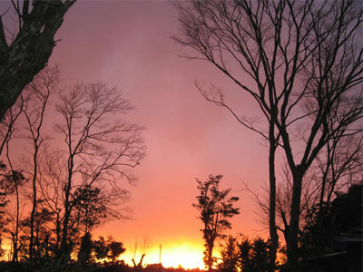 火事のような夕日