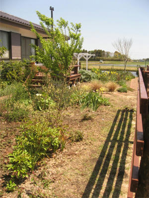 お昼下がりのモバリーガーデン