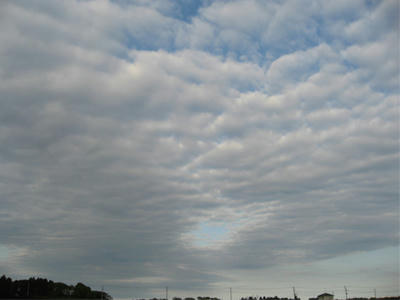 ドーナツのような空