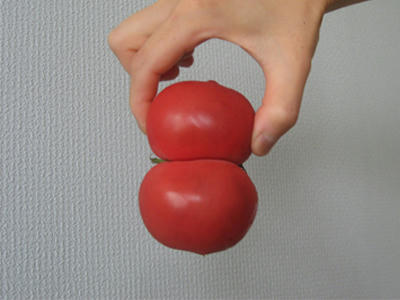 ふたごのトマト