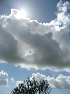 モバリー夏の空
