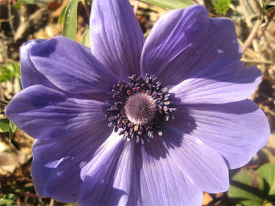 ３月11日