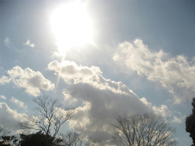 ３月11日