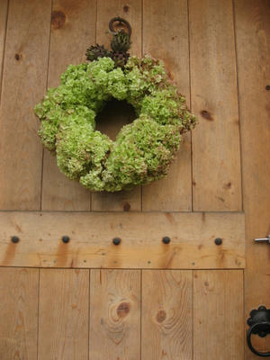 ハーモニーリース