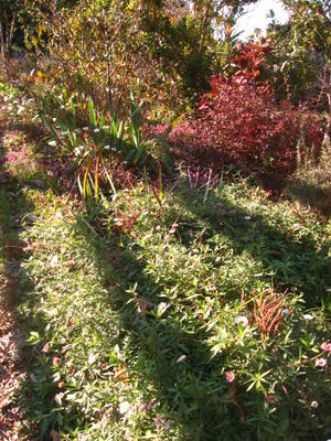 暖かなモバリーガーデン