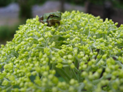 気持ちよさそう