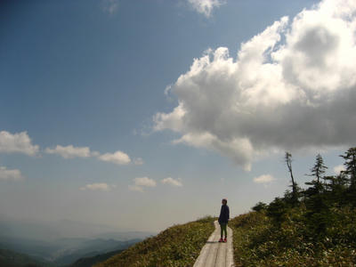 きれいな景色