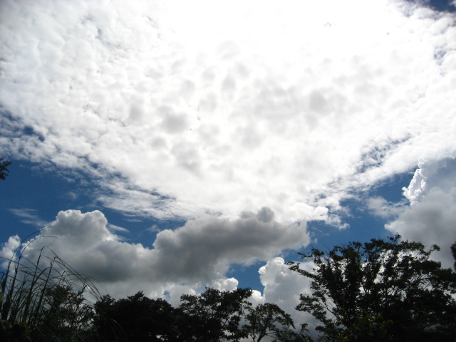 ちょっとどけ秋風味の夏空