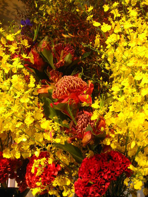 ロビーのお花たち