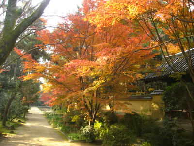 唐招提寺