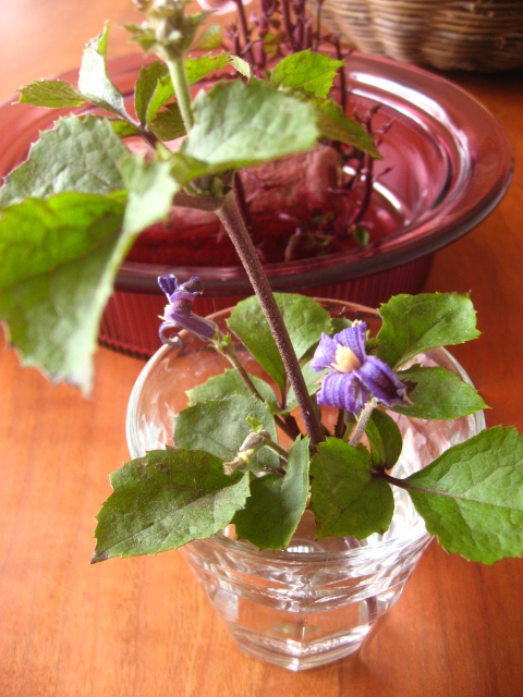 チャイナブルー