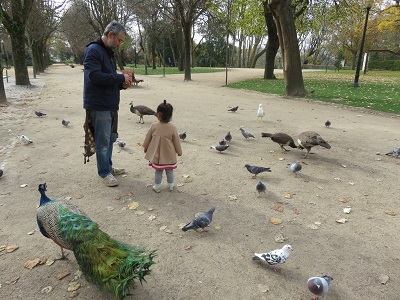 クリスタル宮庭園