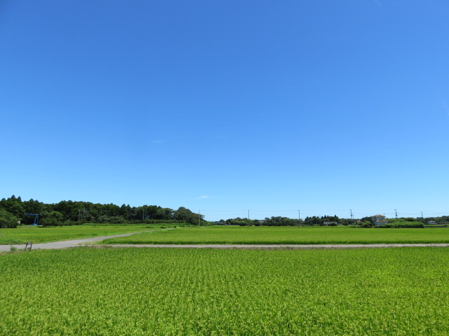 よいお天気