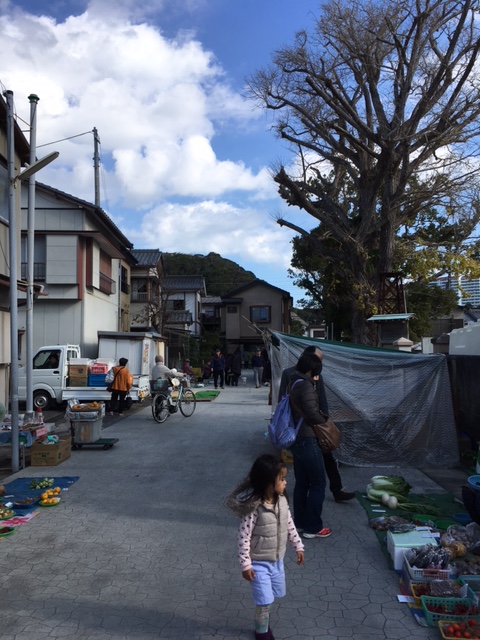 勝浦の朝市