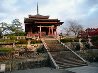 P1000348.JPG