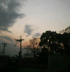 あぁ、お空って綺麗だなぁ