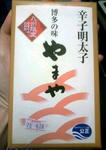 yamaya3
