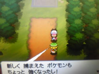 こわいこわいと言いながら ポケモンbwプレイ日記