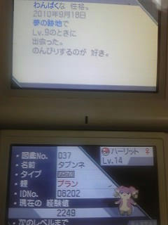 こわいこわいと言いながら ポケモンbwプレイ日記
