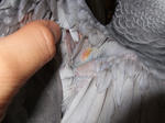 s-2007_1229.jpg