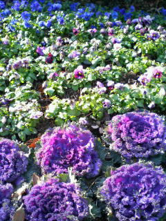 201001021228000.jpg