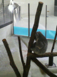 201001021235000.jpg