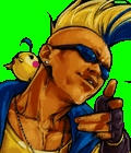 duck.jpg