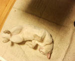 200808050504.jpg