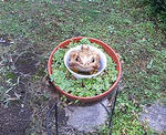 200810261426.jpg