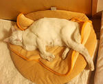 200811100351.jpg