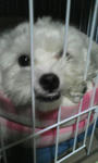 20080518215322.jpg