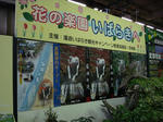 DSC00408.JPG