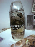 20100123165626.jpg