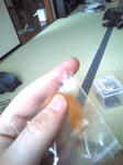 20100624135404.jpg