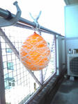 20100624142459.jpg