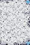 IMG_2584.png