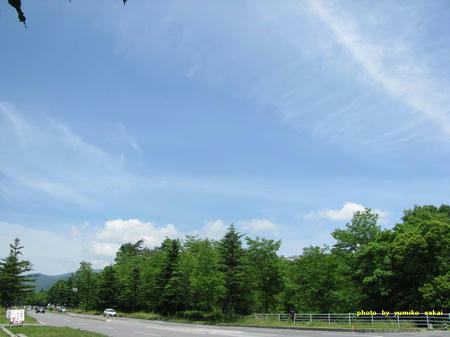 IMG_0290.jpg