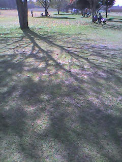 08-10-21_10-48.jpg