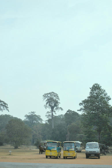 3450247c.jpg