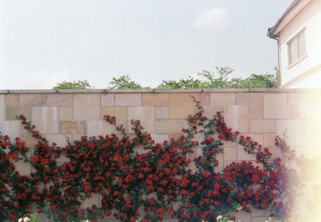 5f392ac9.jpg