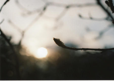 img278.jpg