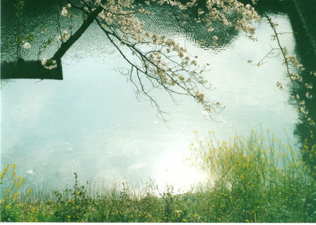 img296.jpg