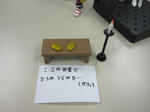 3307f7e2.JPG