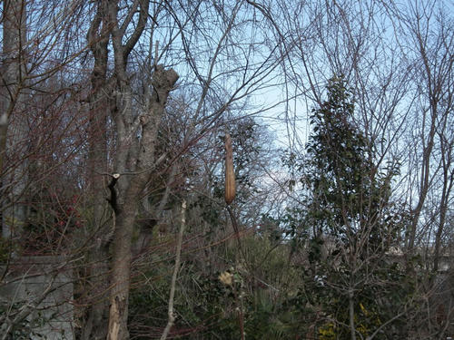 110218-04.jpg